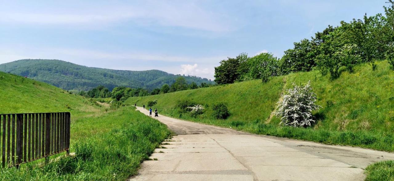 Przestronny Nr 7 Z Widokiem Na Gory Sowie